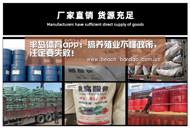 半岛体育app