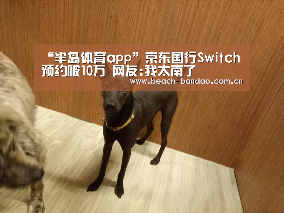 “半岛体育app”京东国行Switch预约破10万 网友:我太南了(图1) 半岛体育app