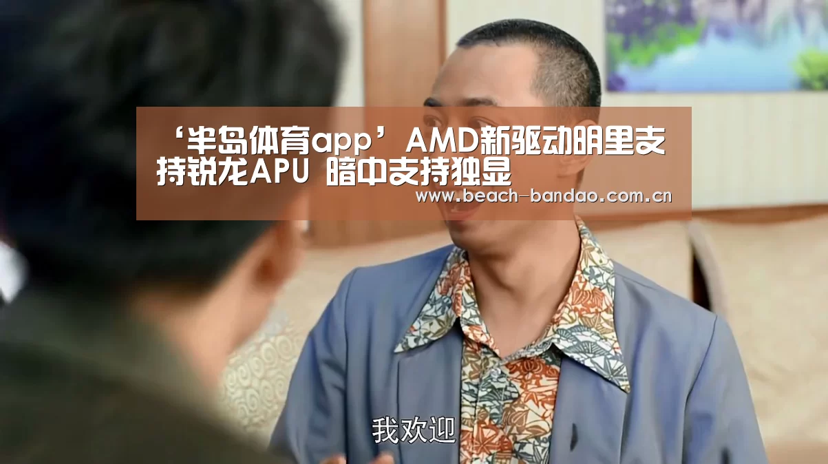 ‘半岛体育app’AMD新驱动明里支持锐龙APU 暗中支持独显(图1) 半岛体育app