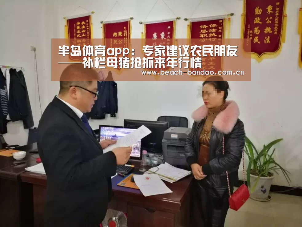 半岛体育app:专家建议农民朋友——补栏母猪抢抓来年行情(图1) 半岛体育登入