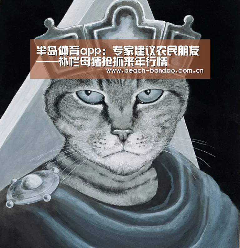 半岛体育app:专家建议农民朋友——补栏母猪抢抓来年行情(图3) 半岛体育登入